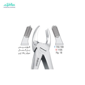 فورسپس مولر بالا چپ کوشا 1105